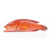 Blanched Red Grouper